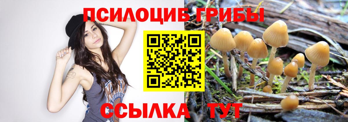 Алатырь  Псилоцибиновые грибы мухоморы  Вход с VPN 